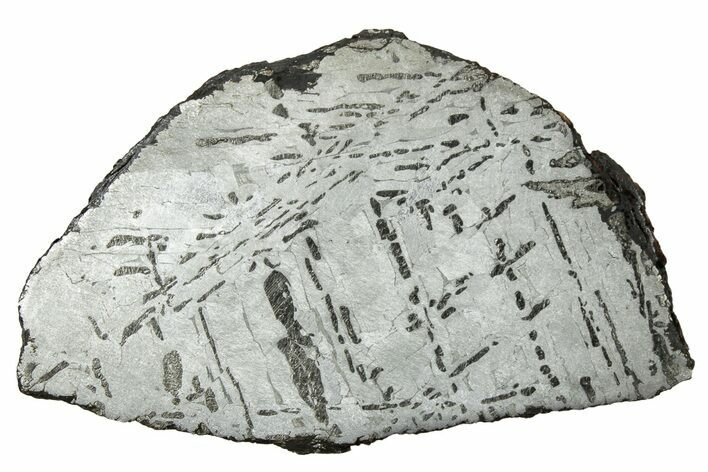 Etched Canyon Diablo Meteorite Slice ( g) - Arizona #329388